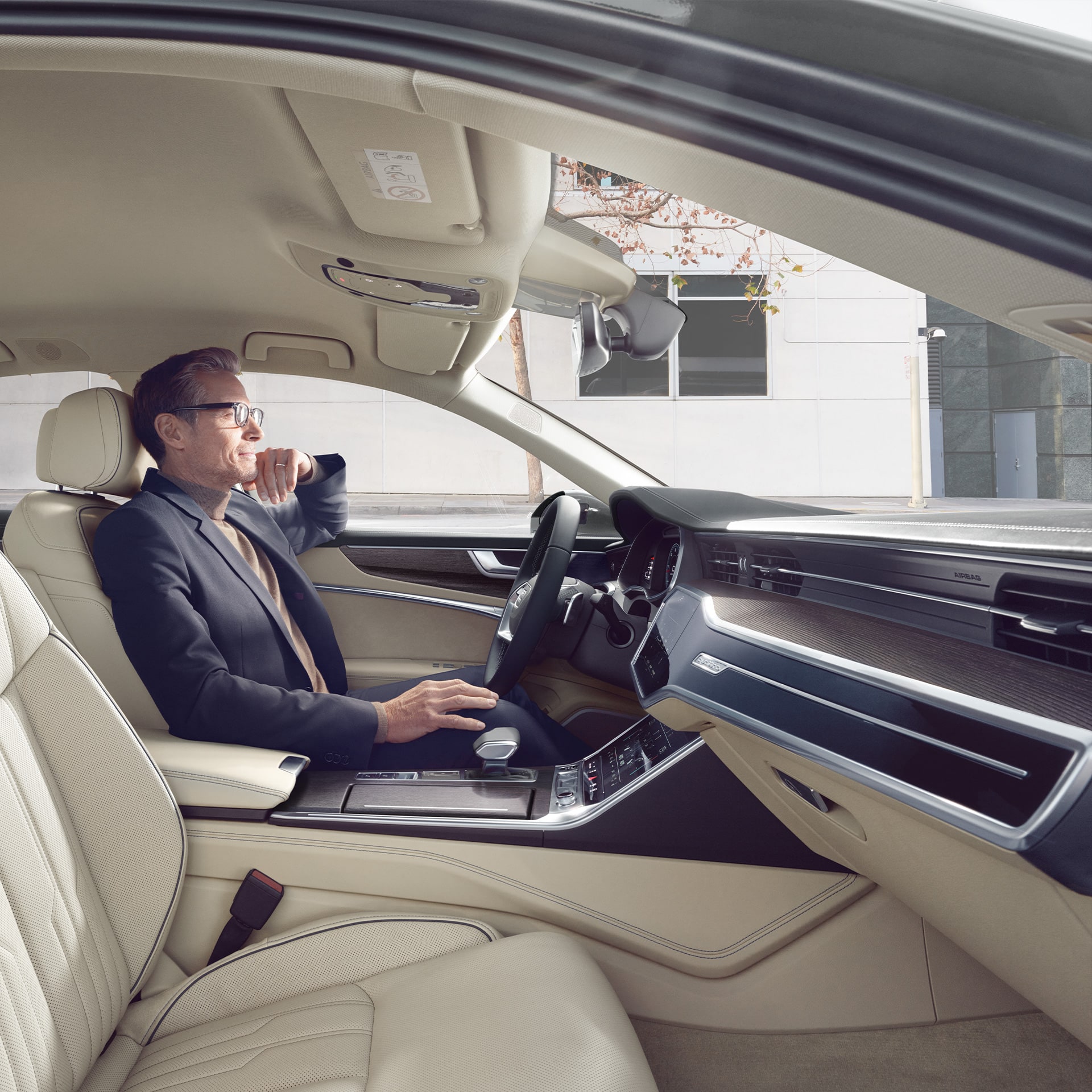 Man with dog in the A6 Sedan